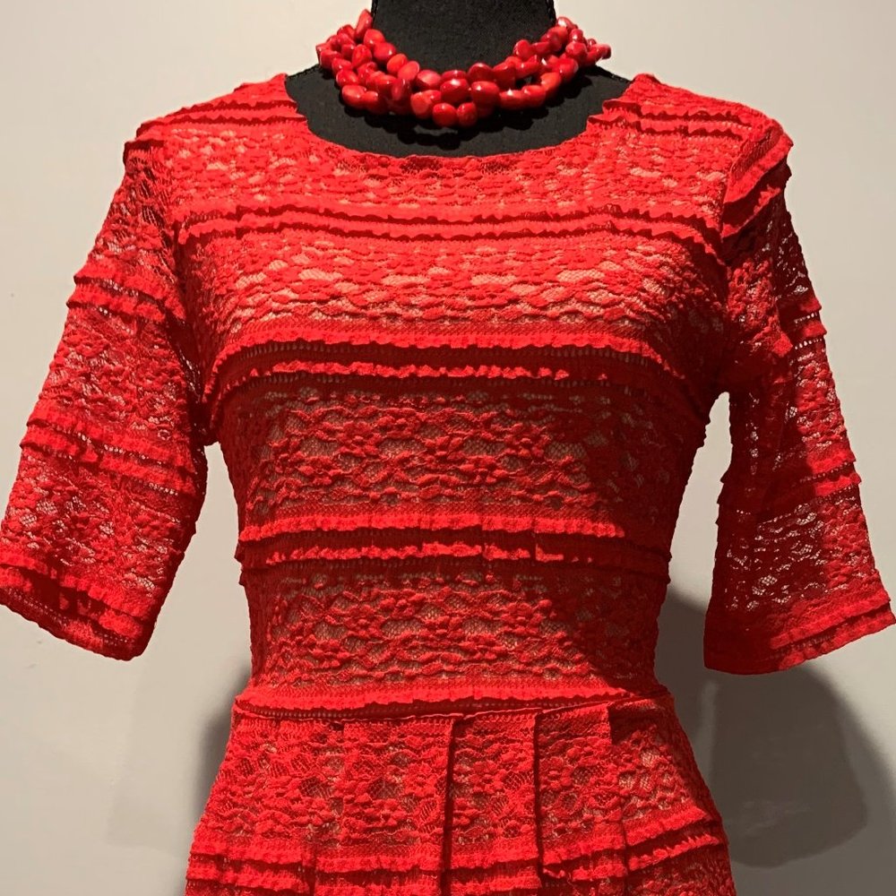 Enfocus Petite Red &Tan Lace Dress